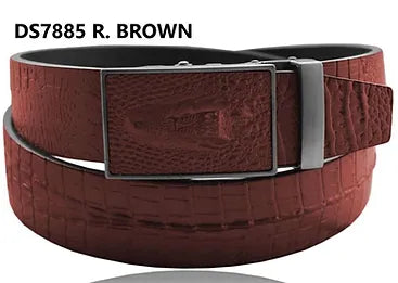 Men Belts Brown