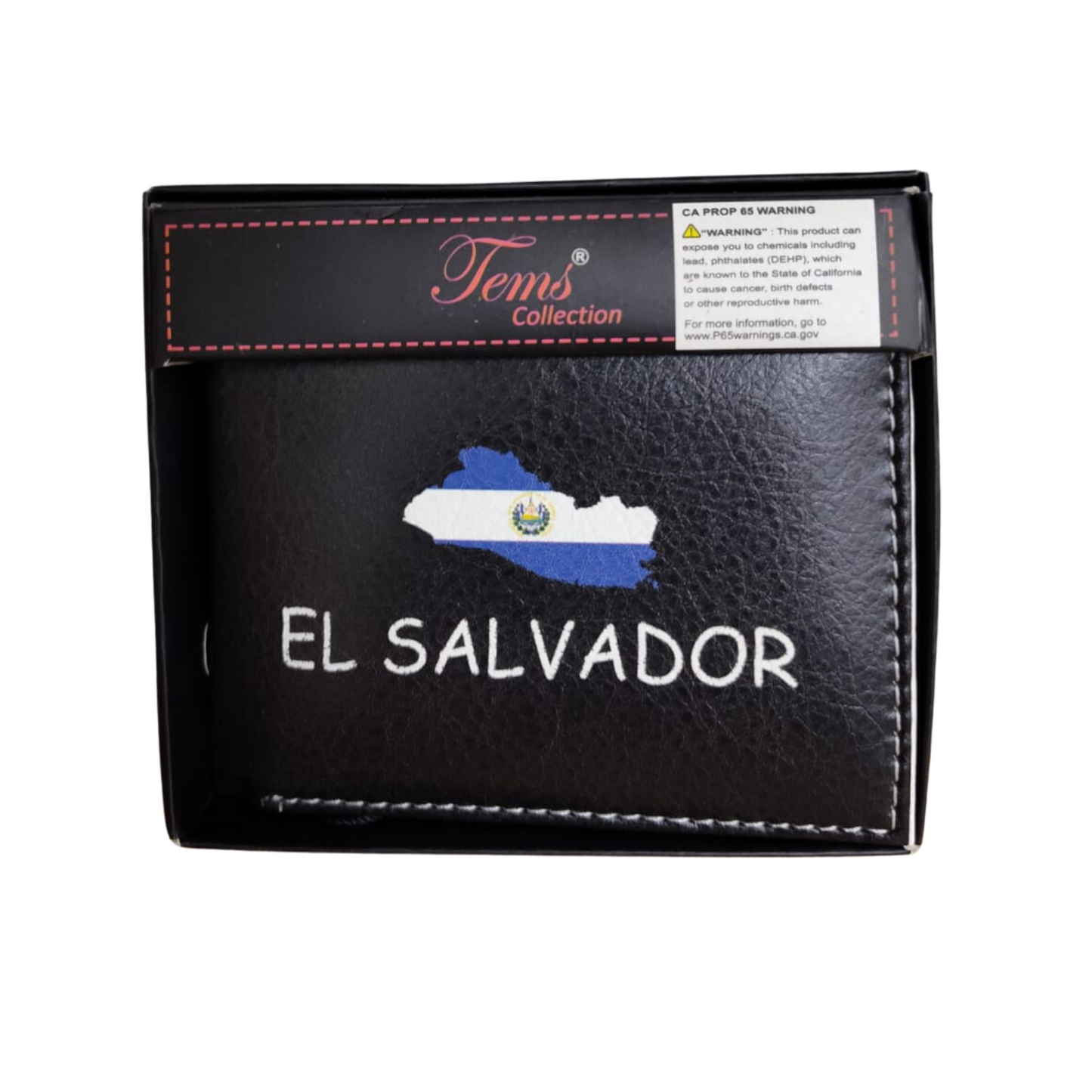 CARTERAS MEXICANAS TEMS
