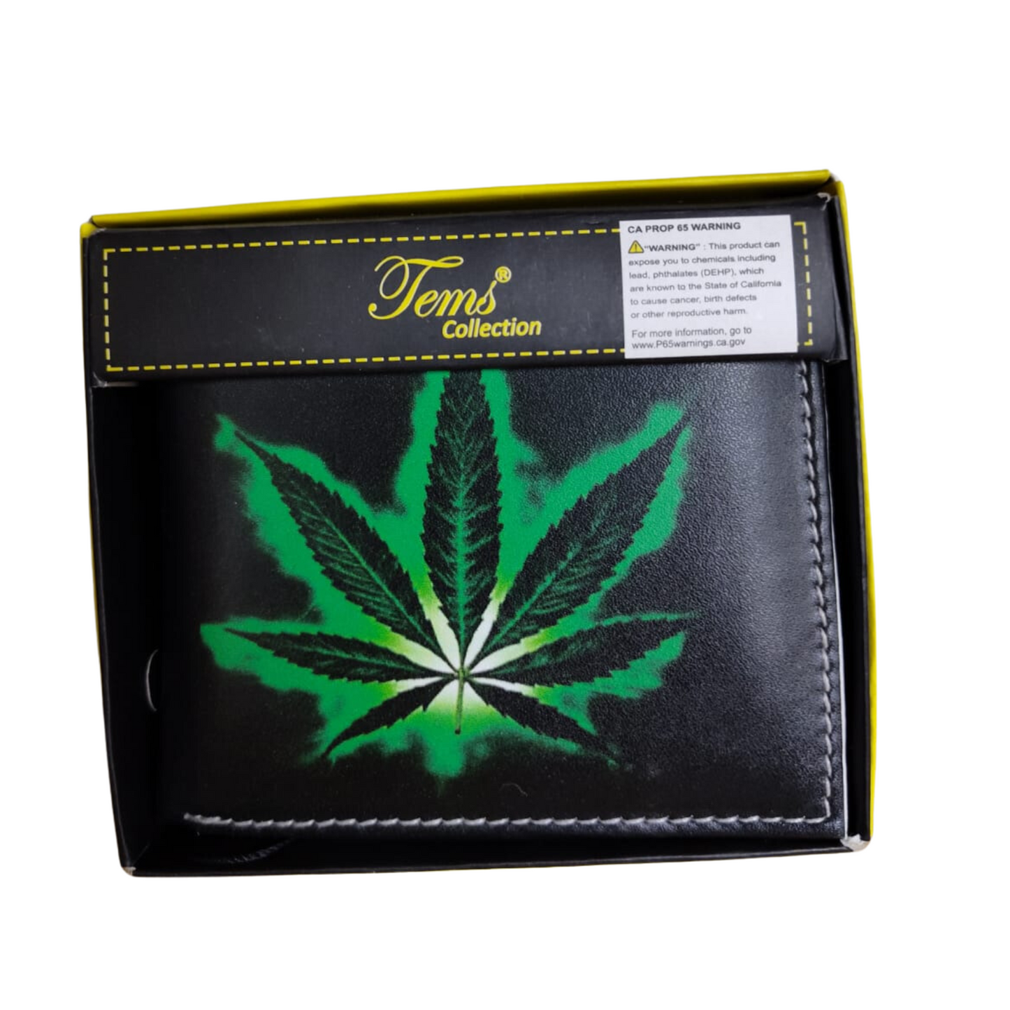 CARTERAS MEXICANAS TEMS