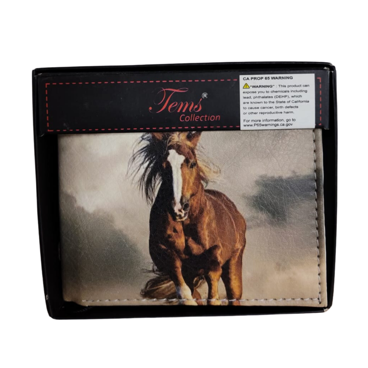 CARTERAS MEXICANAS TEMS