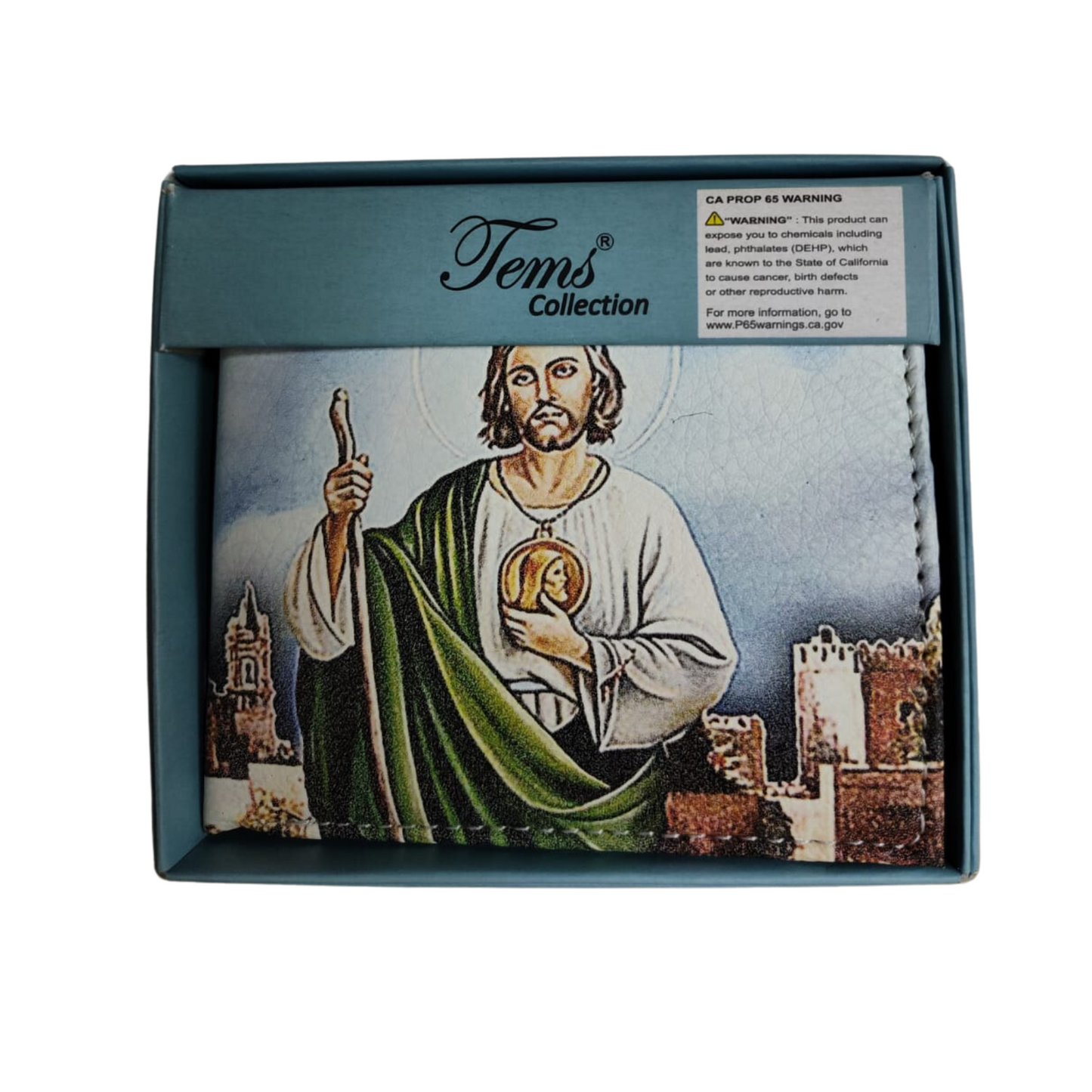 CARTERAS MEXICANAS TEMS