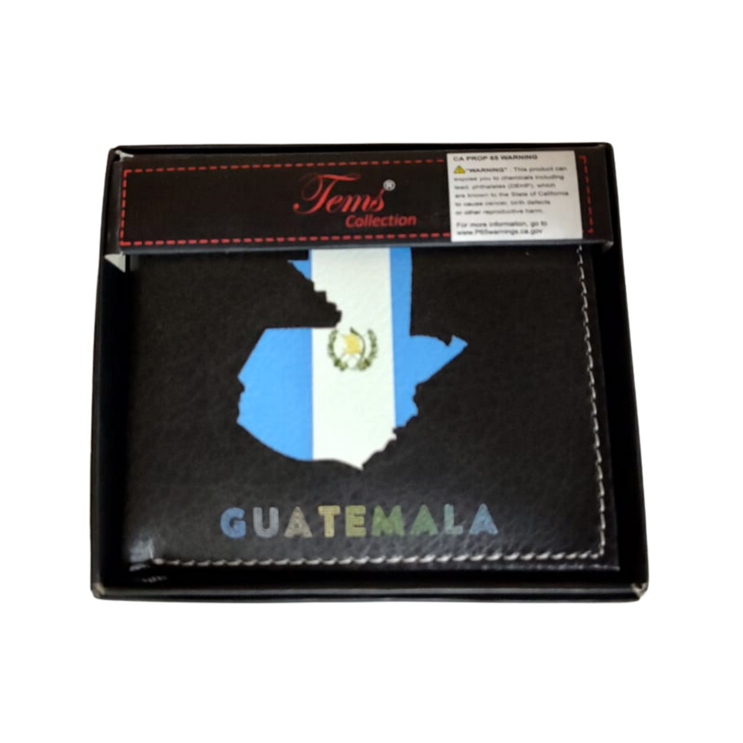 CARTERAS MEXICANAS TEMS