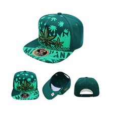 Cap  DGN DGN
