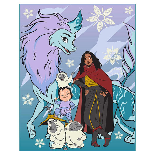 Disney raya and the last gragon twin/ full raschel blanket.